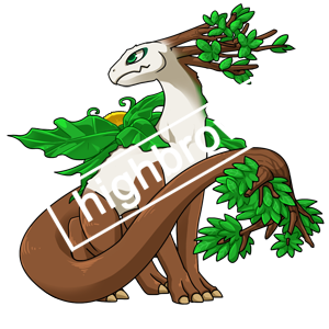 포레스트 드래곤